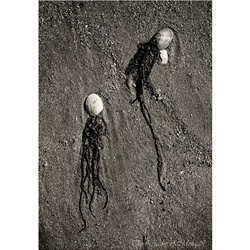 dailyPhoto23